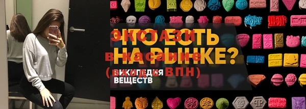 МДПВ Дмитриев
