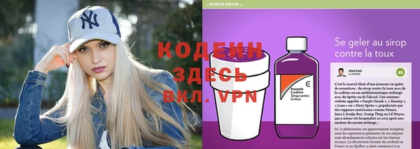МДПВ Дмитриев