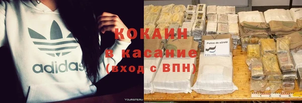 МДПВ Дмитриев