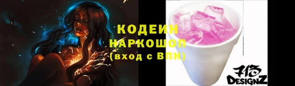 МДПВ Дмитриев