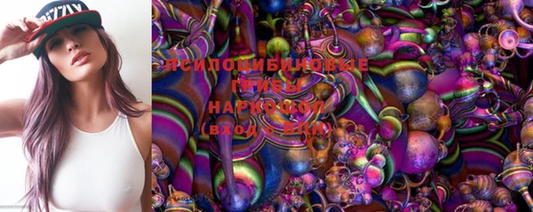 МДПВ Дмитриев