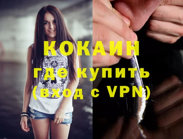 МДПВ Дмитриев