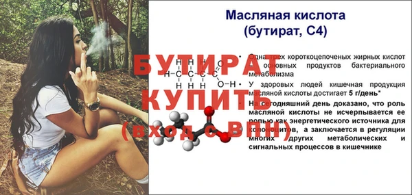 МДПВ Дмитриев