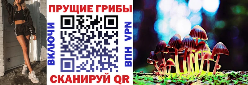 Псилоцибиновые грибы MAGIC MUSHROOMS купить наркоту Кыштым
